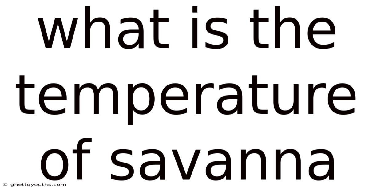 What Is The Temperature Of Savanna