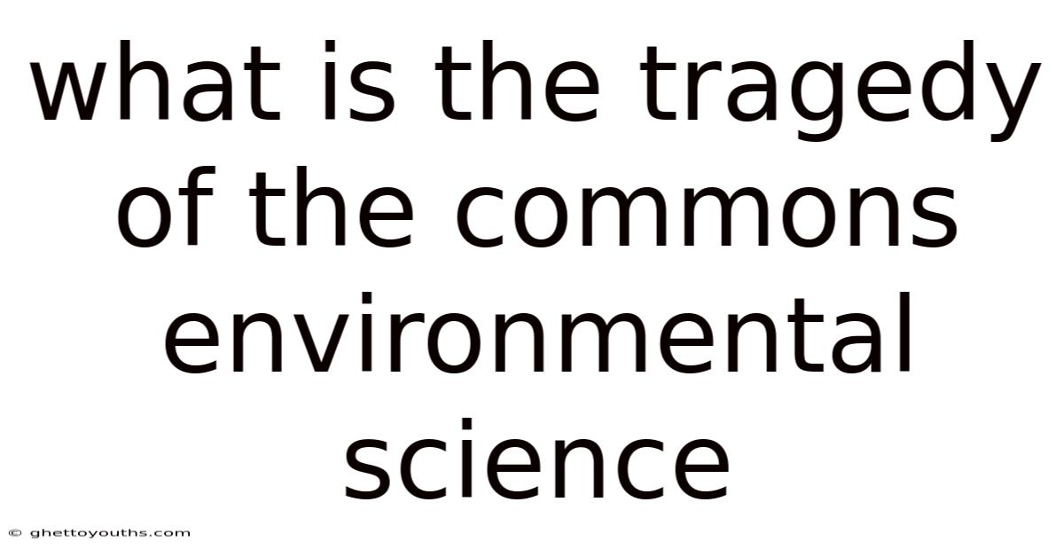 What Is The Tragedy Of The Commons Environmental Science
