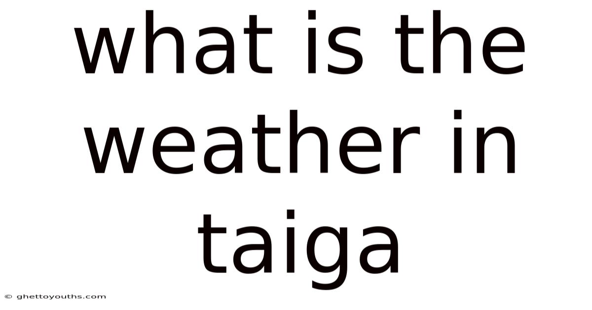 What Is The Weather In Taiga