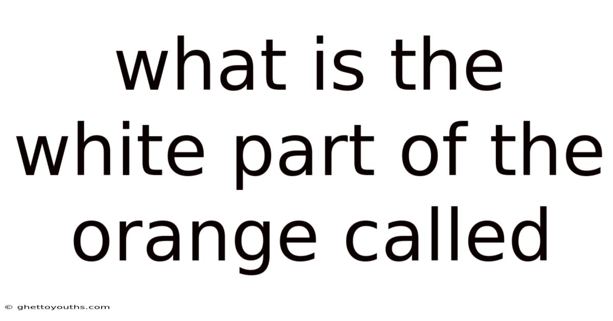 What Is The White Part Of The Orange Called