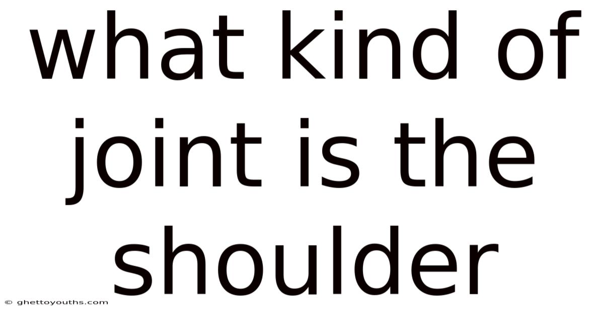 What Kind Of Joint Is The Shoulder