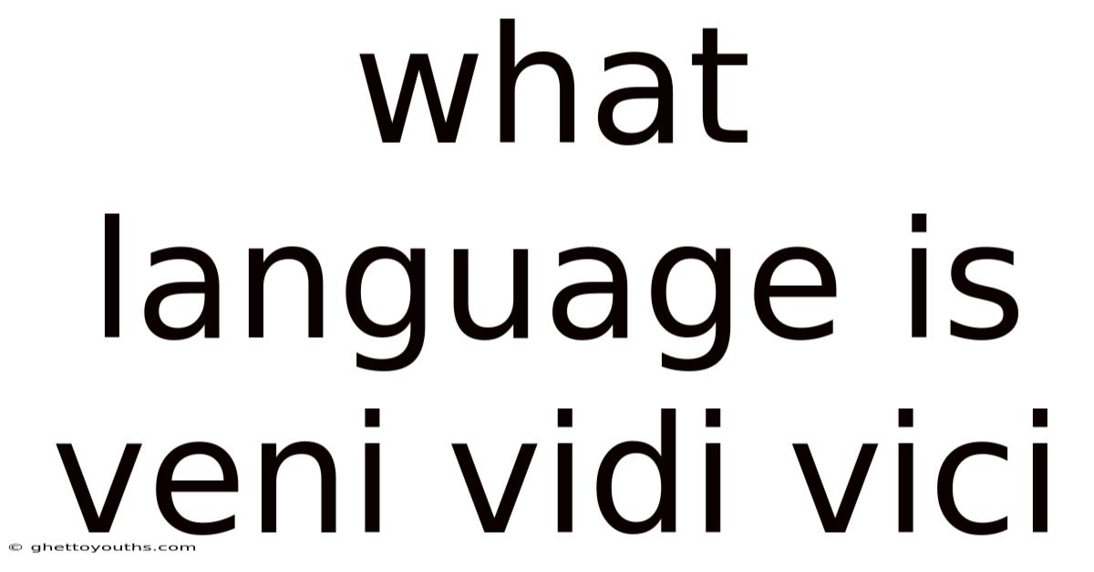 What Language Is Veni Vidi Vici