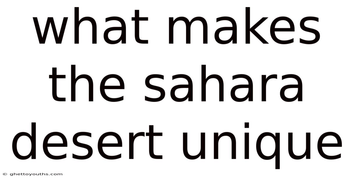 What Makes The Sahara Desert Unique