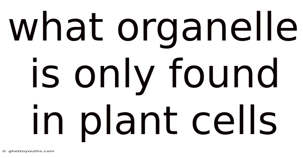 What Organelle Is Only Found In Plant Cells