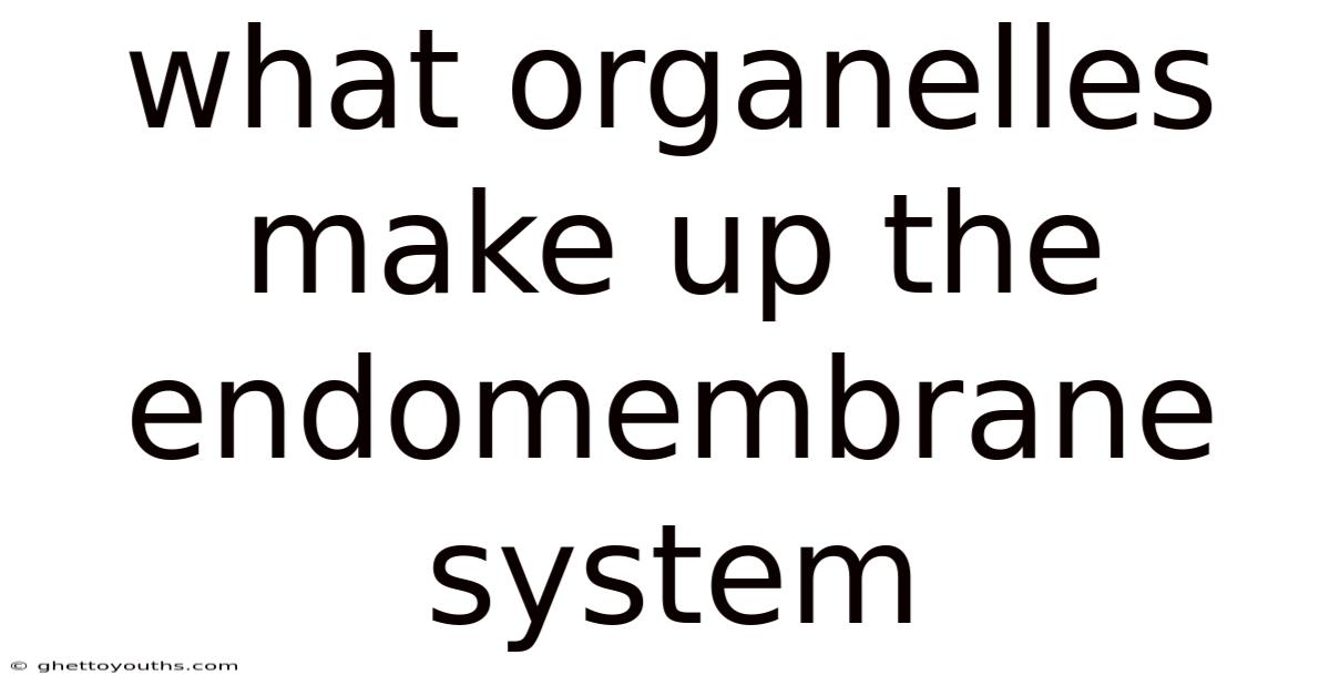 What Organelles Make Up The Endomembrane System