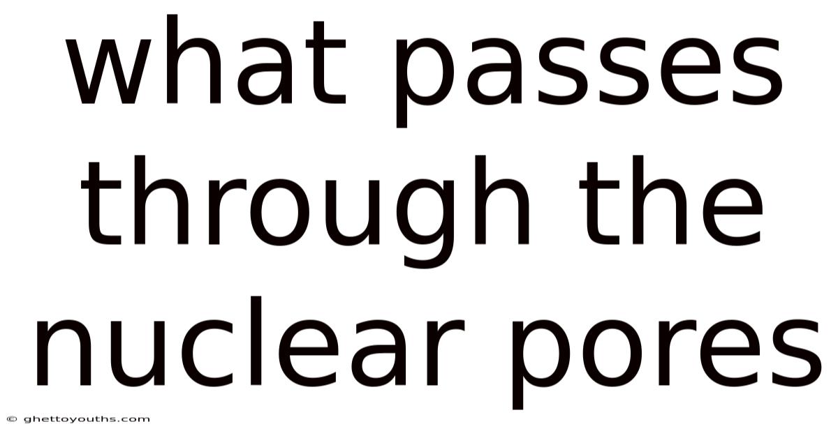 What Passes Through The Nuclear Pores