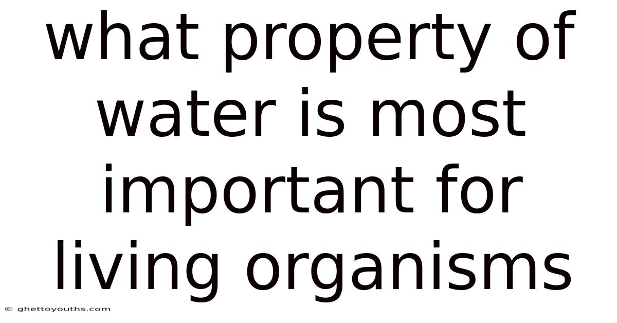 What Property Of Water Is Most Important For Living Organisms