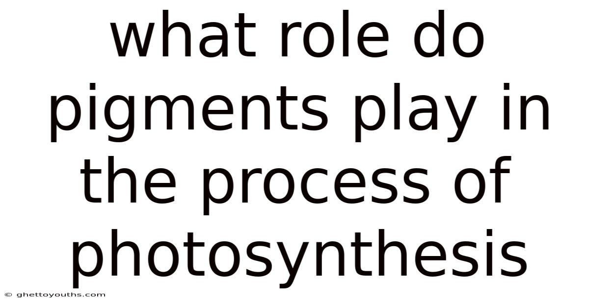 What Role Do Pigments Play In The Process Of Photosynthesis
