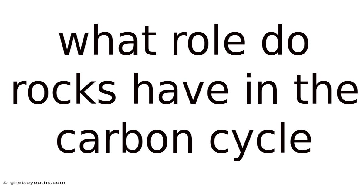 What Role Do Rocks Have In The Carbon Cycle