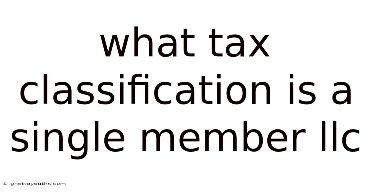 What Tax Classification Is A Single Member Llc