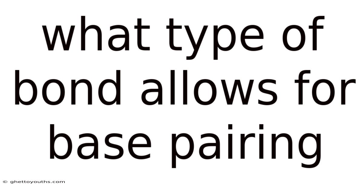 What Type Of Bond Allows For Base Pairing