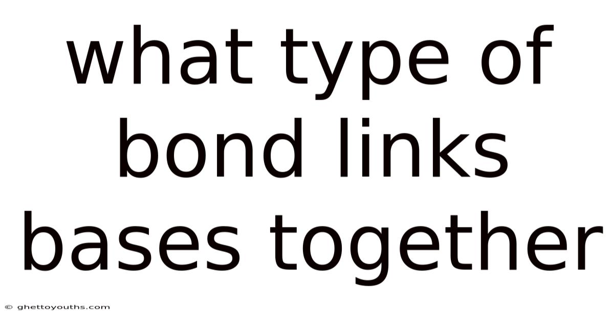 What Type Of Bond Links Bases Together