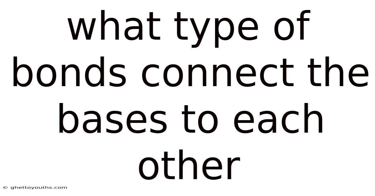 What Type Of Bonds Connect The Bases To Each Other