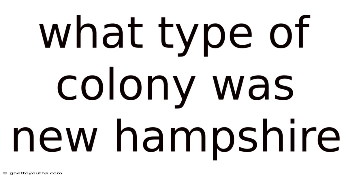 What Type Of Colony Was New Hampshire