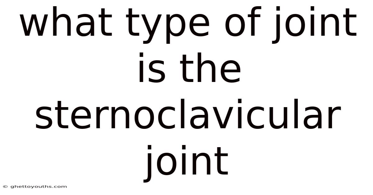 What Type Of Joint Is The Sternoclavicular Joint