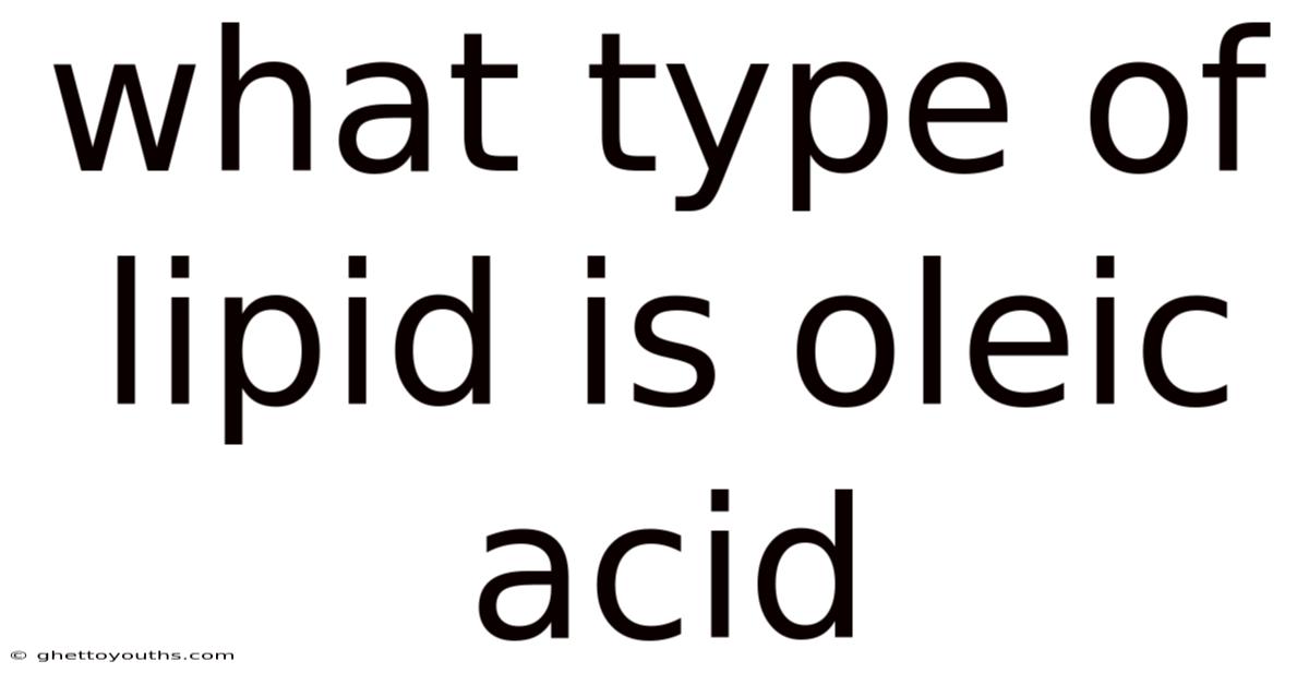 What Type Of Lipid Is Oleic Acid