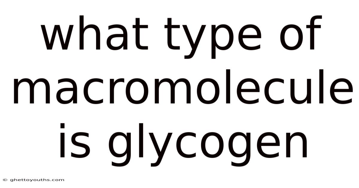 What Type Of Macromolecule Is Glycogen