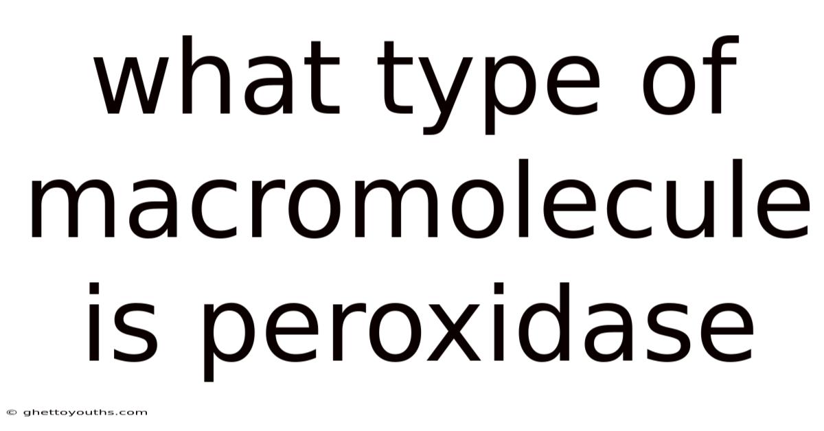 What Type Of Macromolecule Is Peroxidase