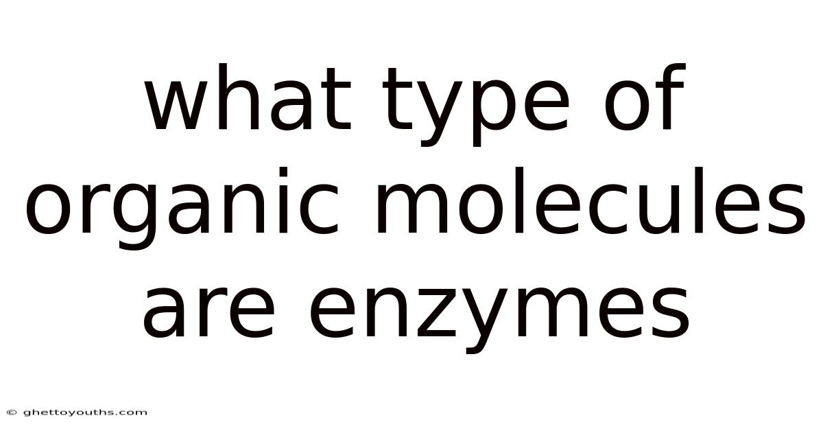 What Type Of Organic Molecules Are Enzymes
