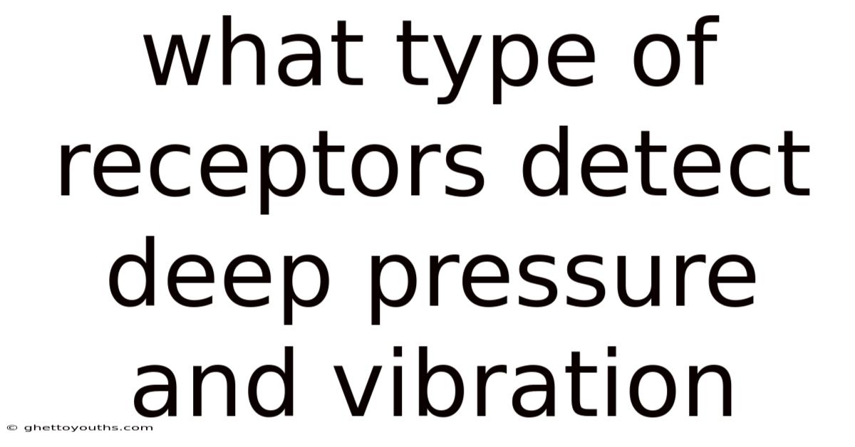 What Type Of Receptors Detect Deep Pressure And Vibration