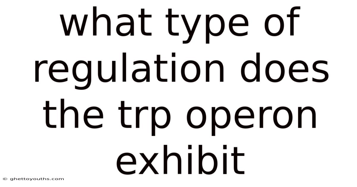What Type Of Regulation Does The Trp Operon Exhibit