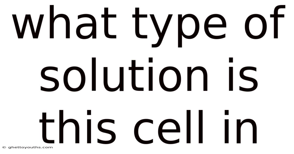 What Type Of Solution Is This Cell In