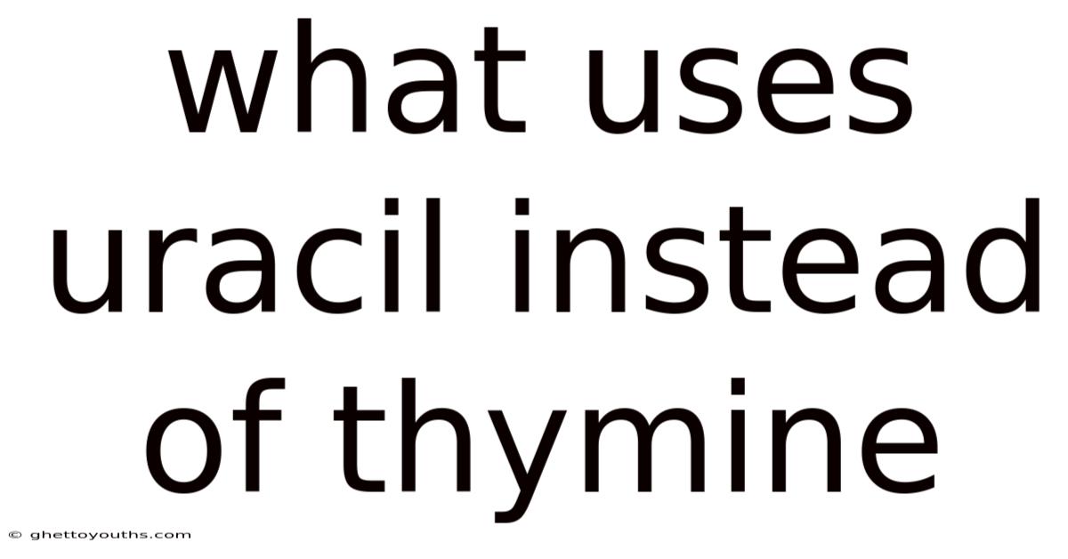 What Uses Uracil Instead Of Thymine