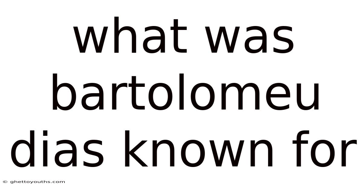 What Was Bartolomeu Dias Known For