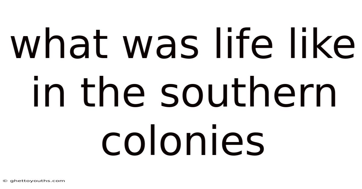 What Was Life Like In The Southern Colonies