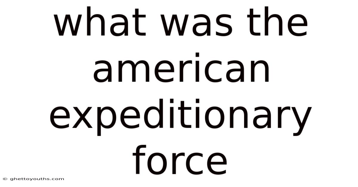 What Was The American Expeditionary Force