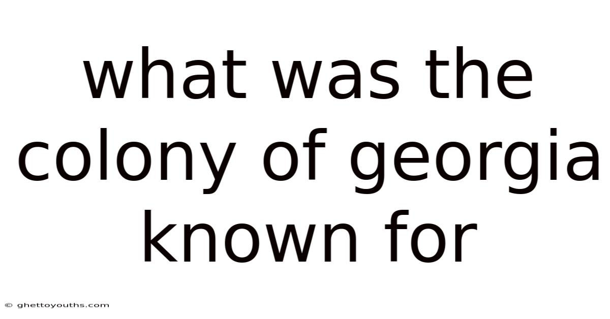 What Was The Colony Of Georgia Known For