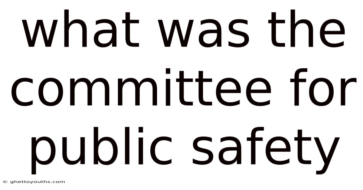 What Was The Committee For Public Safety