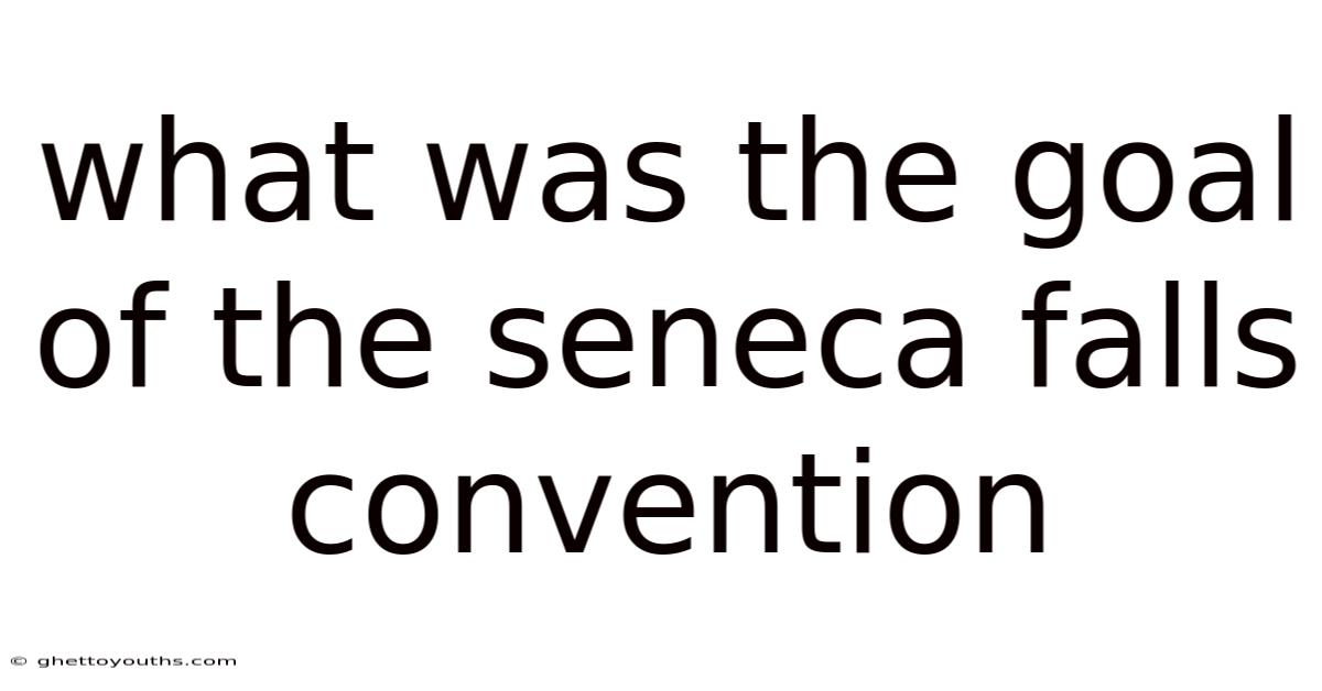 What Was The Goal Of The Seneca Falls Convention