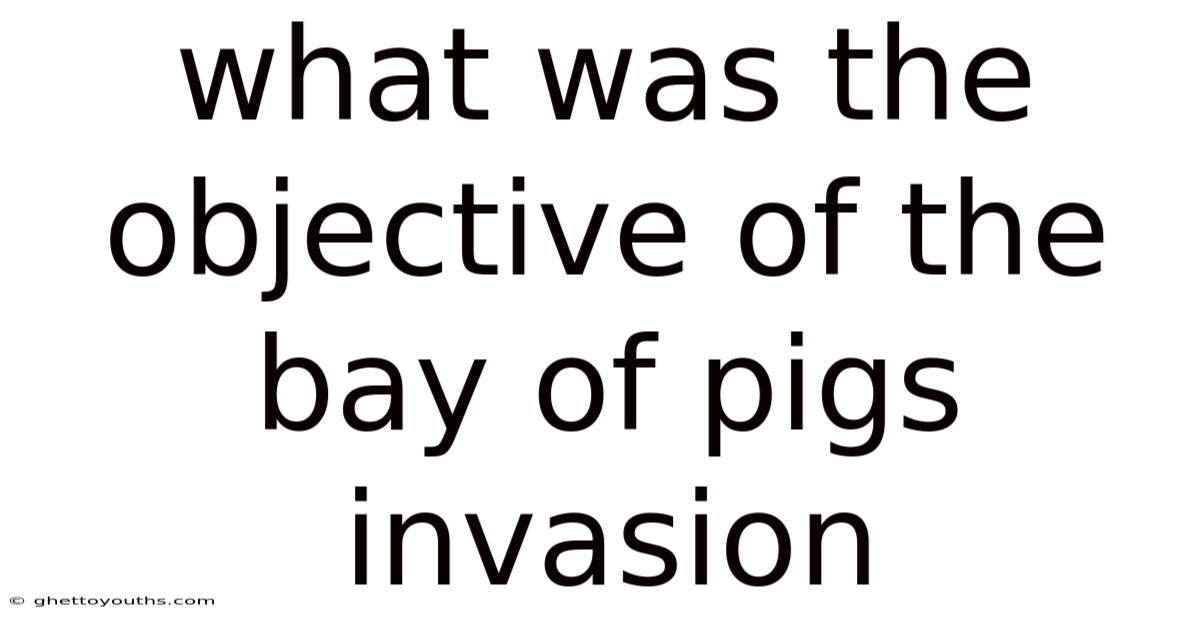 What Was The Objective Of The Bay Of Pigs Invasion