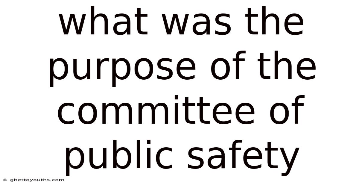 What Was The Purpose Of The Committee Of Public Safety