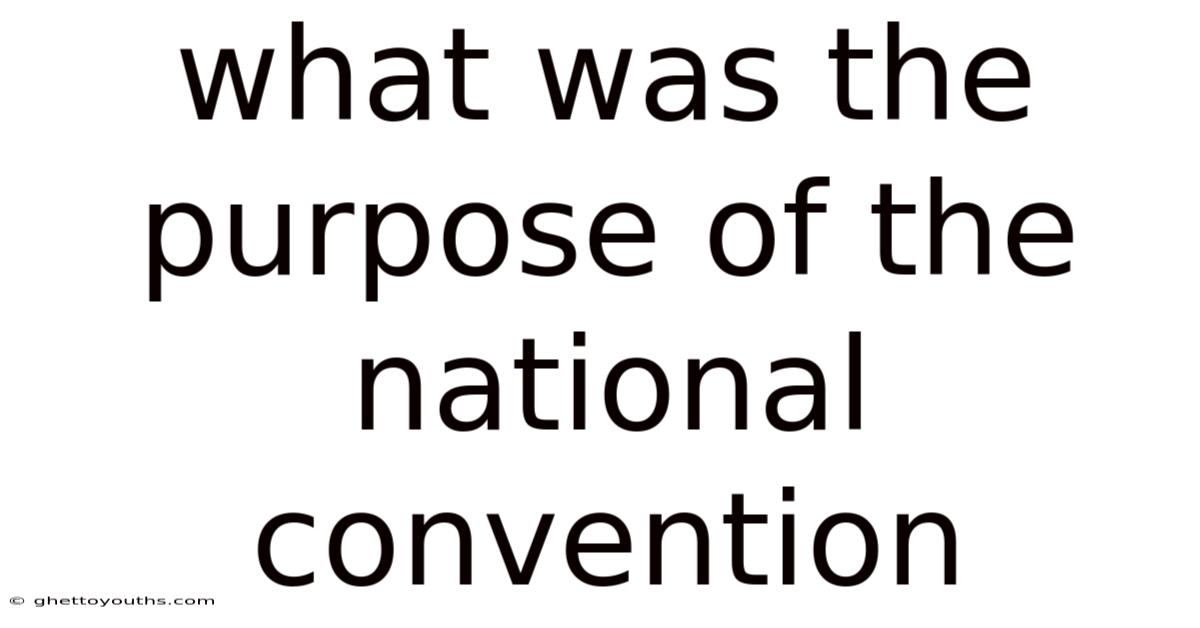 What Was The Purpose Of The National Convention