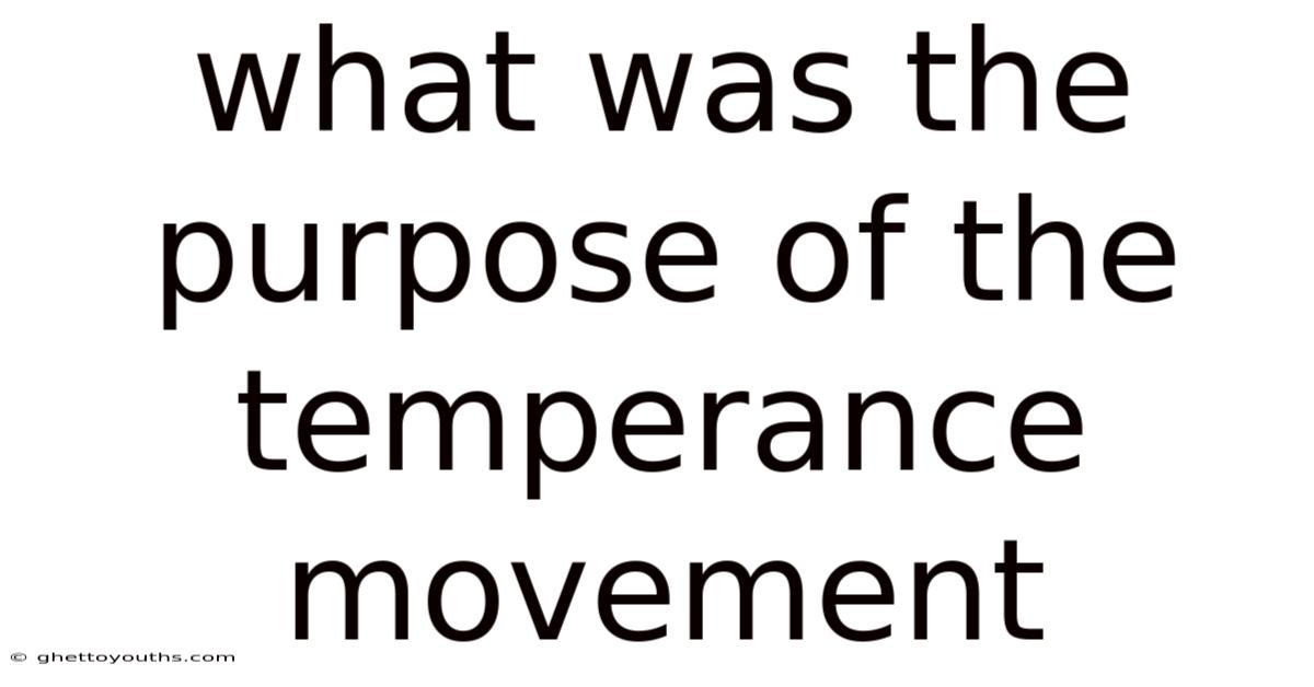What Was The Purpose Of The Temperance Movement