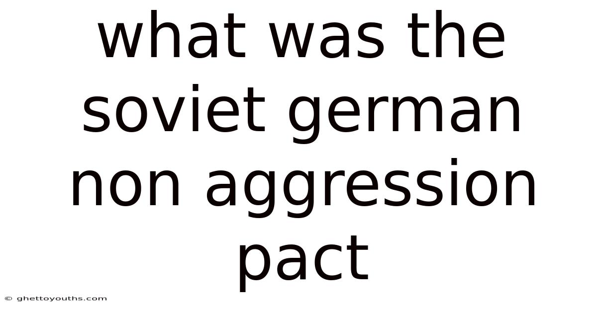 What Was The Soviet German Non Aggression Pact