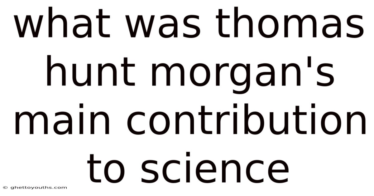 What Was Thomas Hunt Morgan's Main Contribution To Science