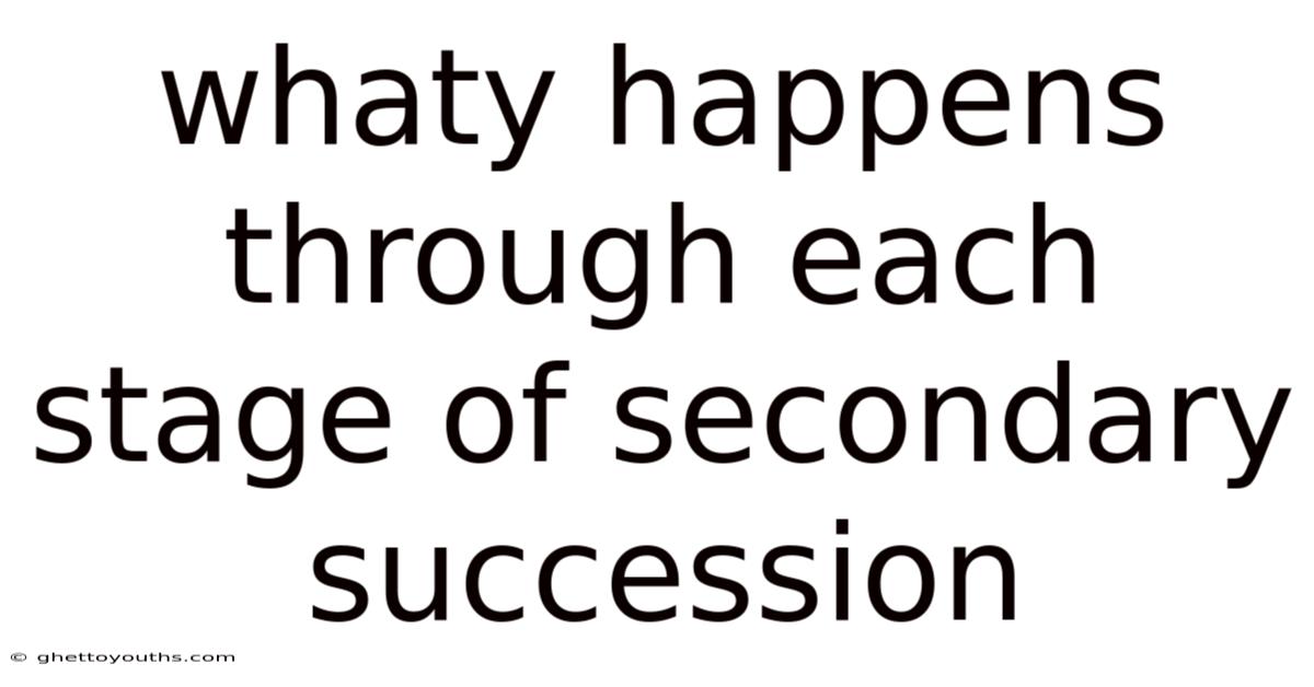 Whaty Happens Through Each Stage Of Secondary Succession