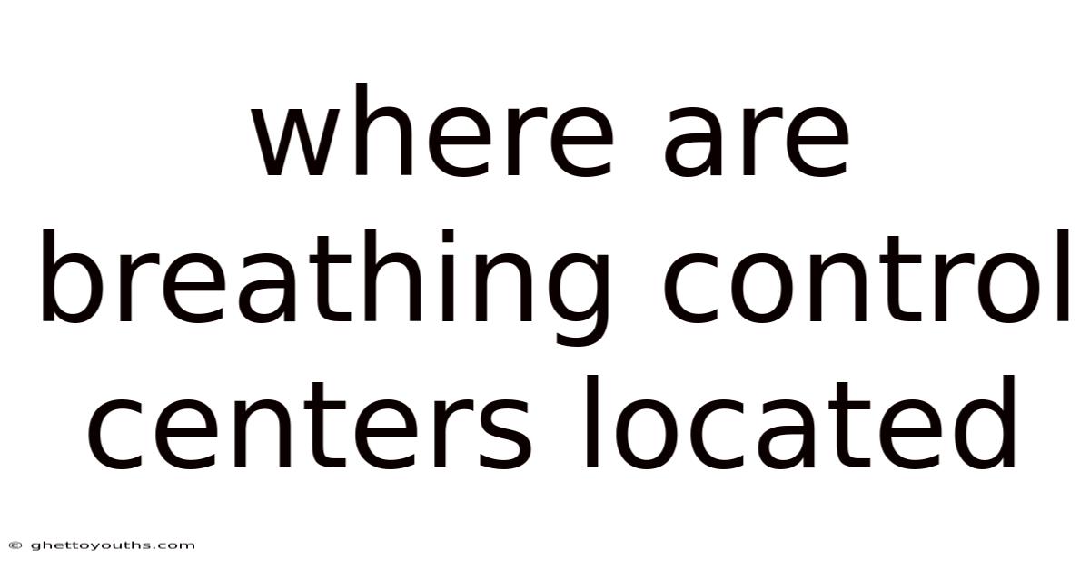 Where Are Breathing Control Centers Located