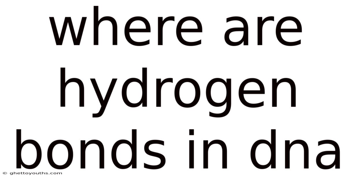 Where Are Hydrogen Bonds In Dna