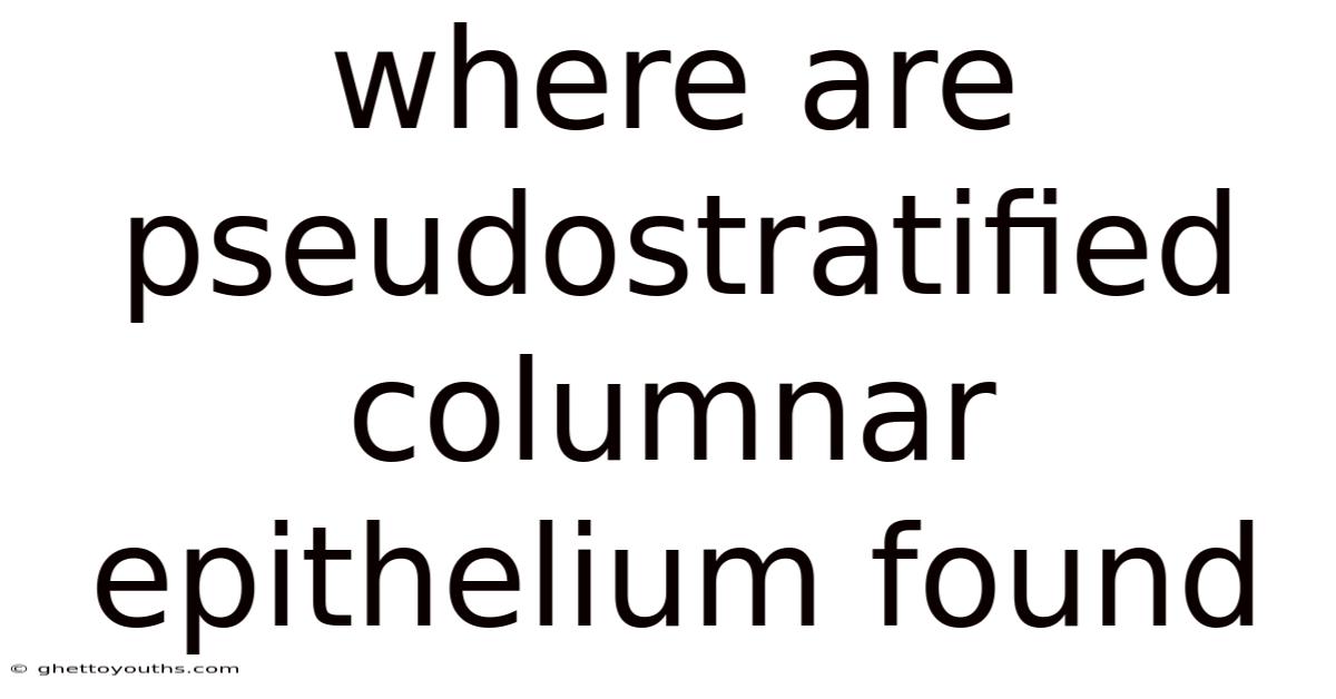 Where Are Pseudostratified Columnar Epithelium Found