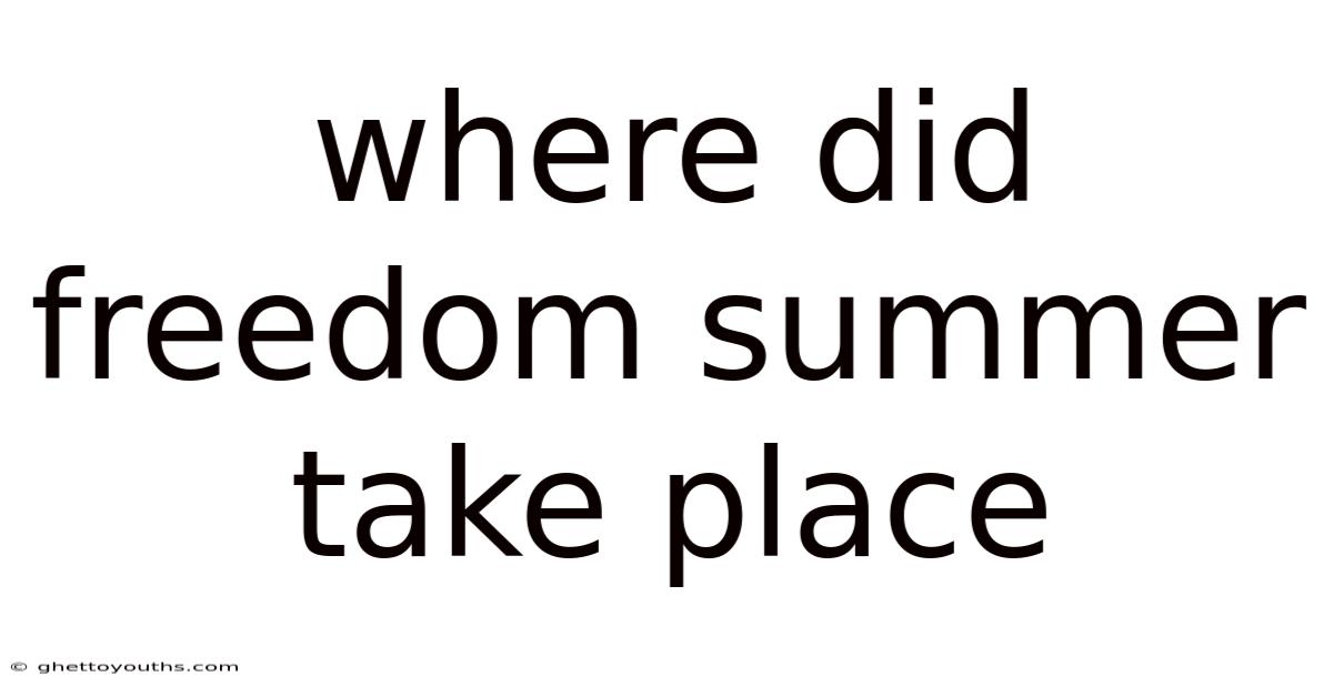 Where Did Freedom Summer Take Place