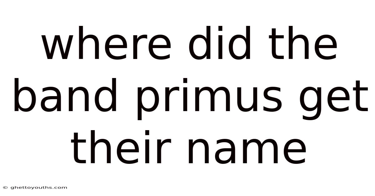 Where Did The Band Primus Get Their Name
