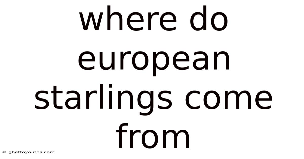 Where Do European Starlings Come From