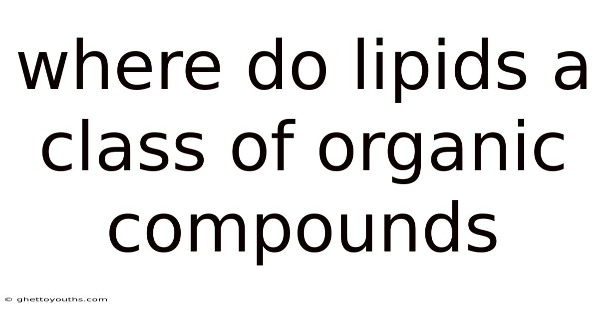 Where Do Lipids A Class Of Organic Compounds