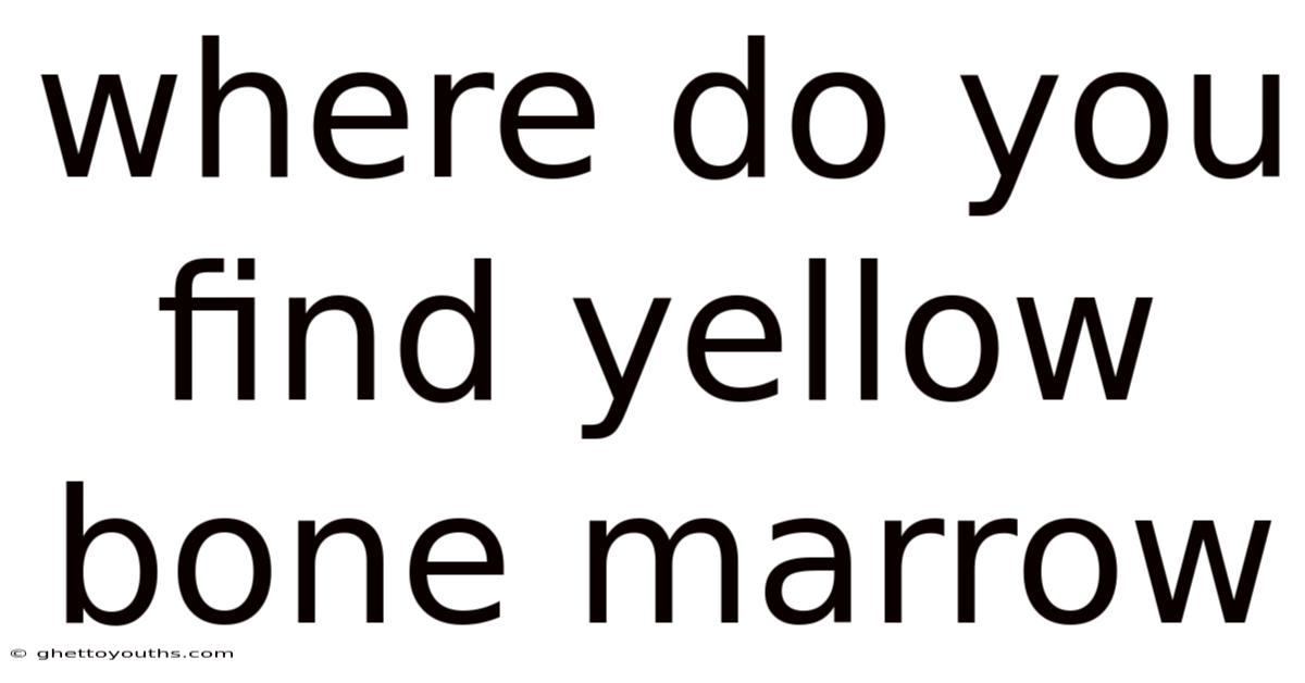 Where Do You Find Yellow Bone Marrow