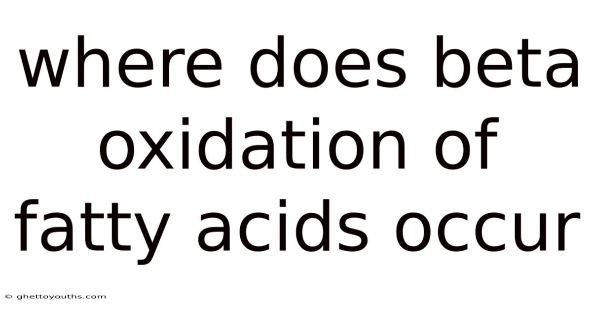 Where Does Beta Oxidation Of Fatty Acids Occur