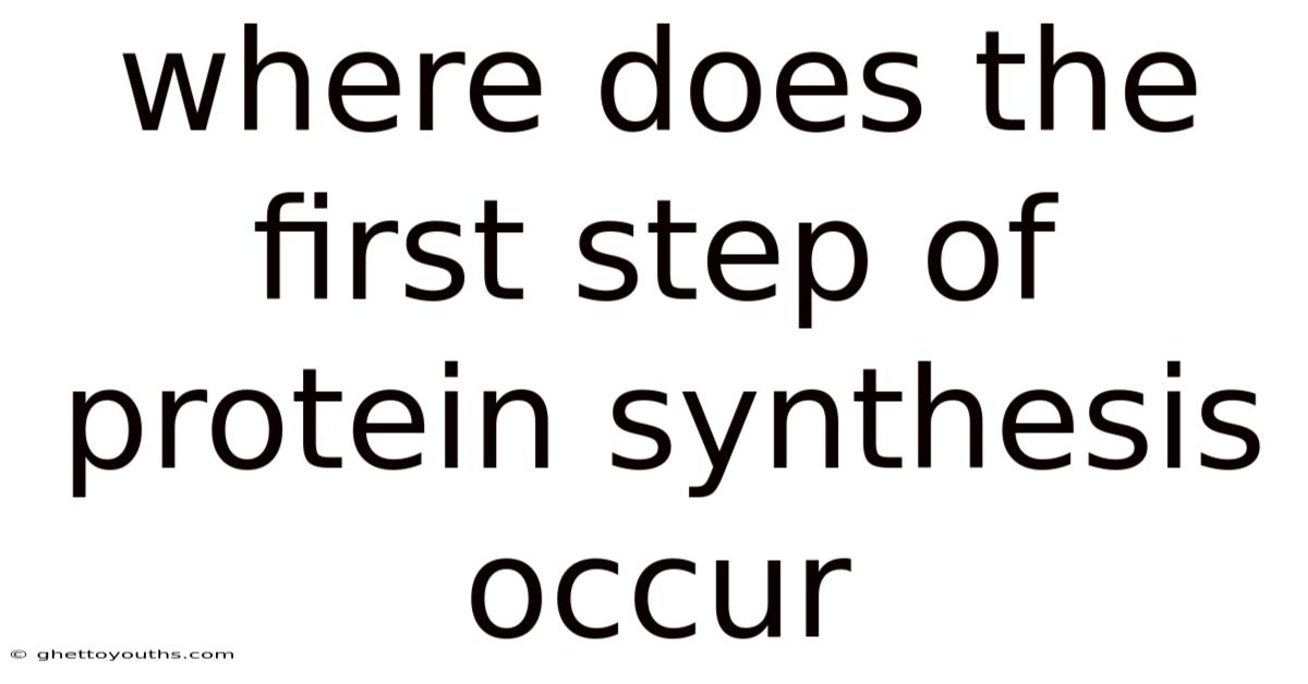Where Does The First Step Of Protein Synthesis Occur